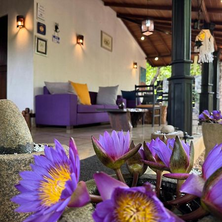 The Green Edge Dambulla Luaran gambar