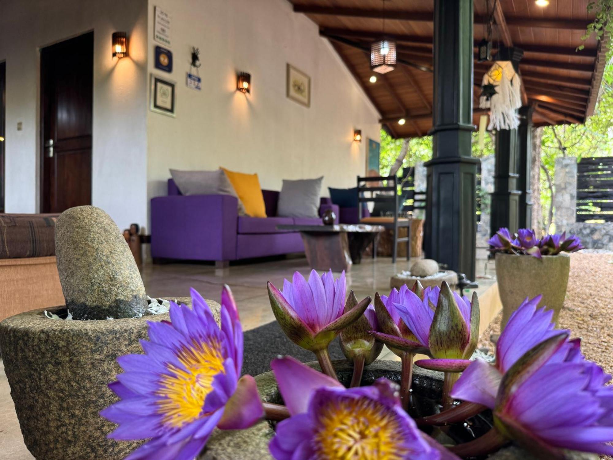 The Green Edge Dambulla Luaran gambar