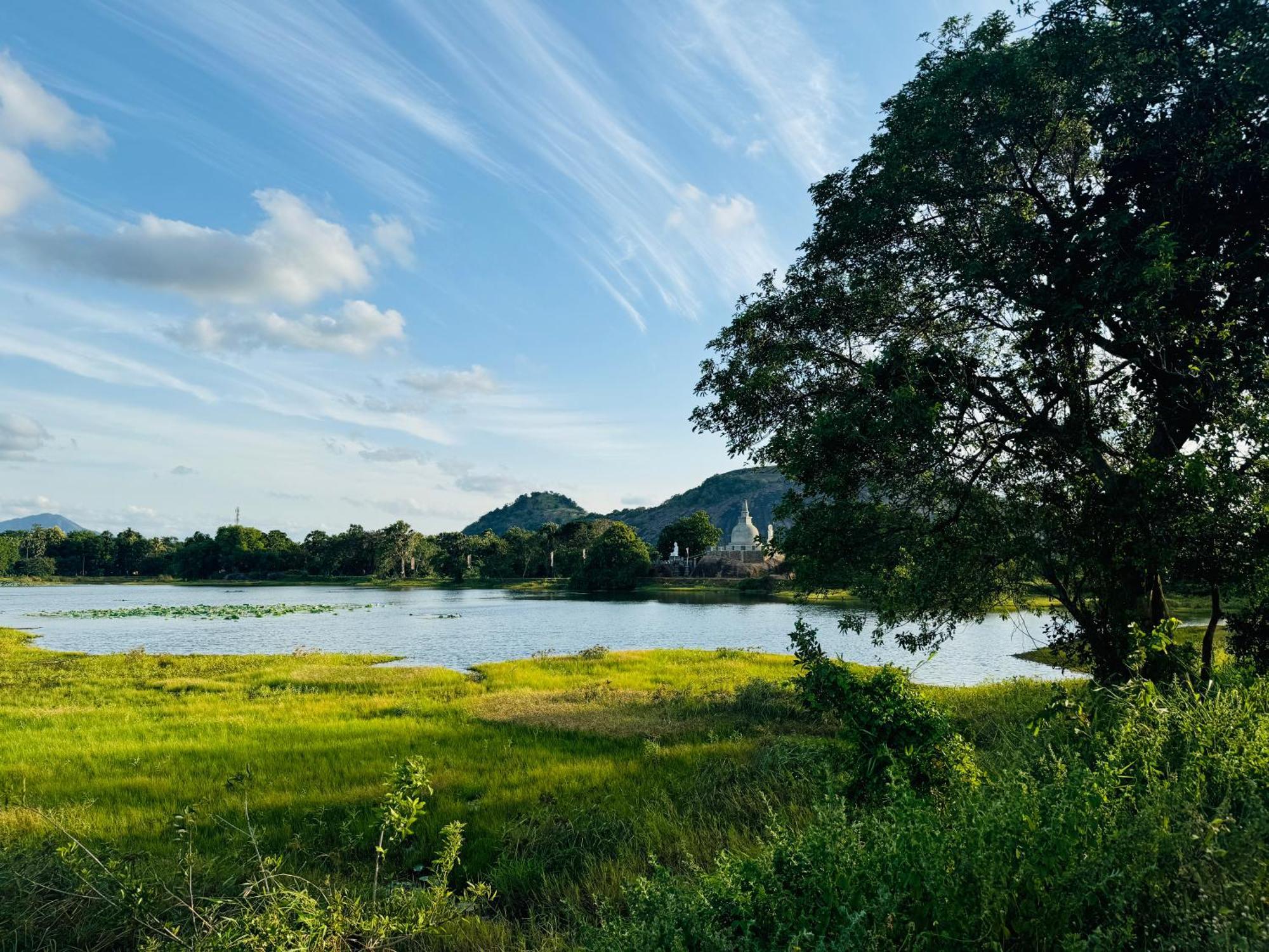 The Green Edge Dambulla Luaran gambar