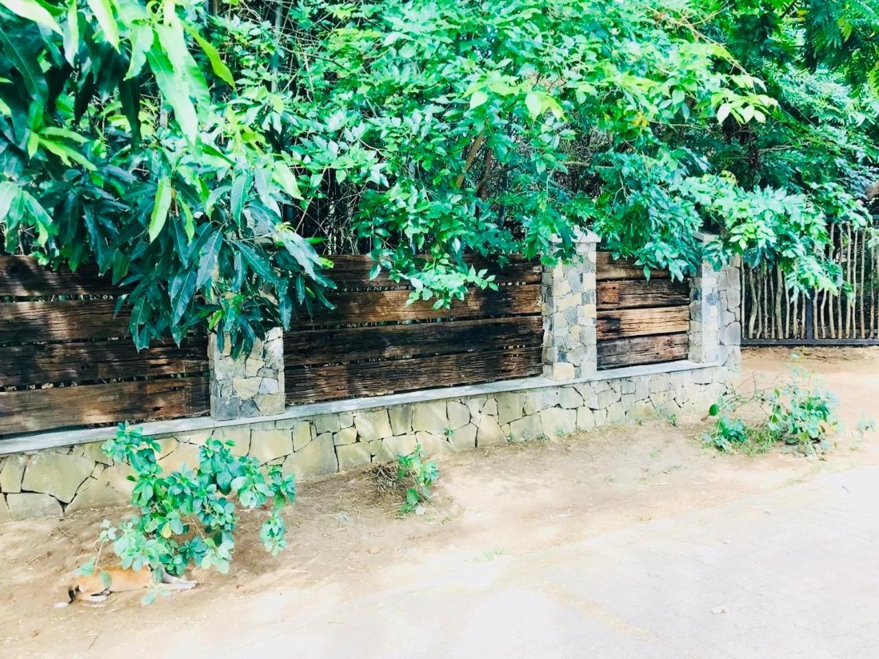 The Green Edge Dambulla Luaran gambar