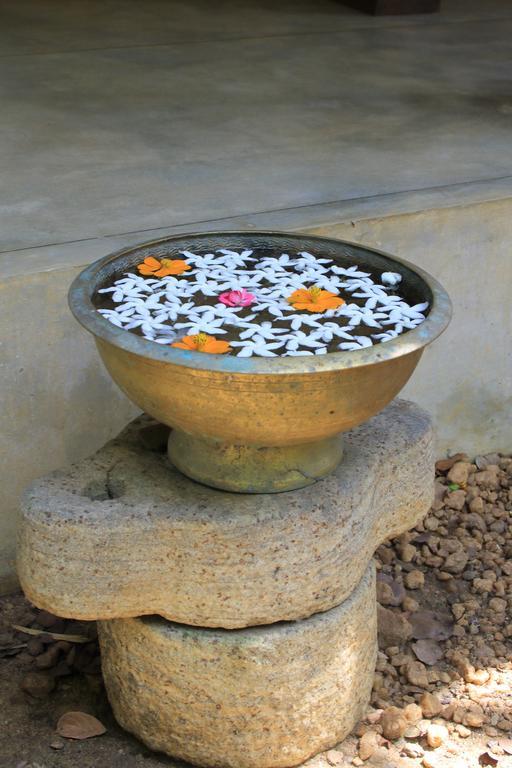 The Green Edge Dambulla Luaran gambar